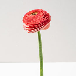 Оставить отзыв